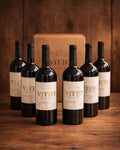 Caja de 6 botellas · Vitto Carmenere 2023