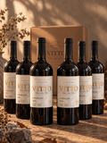 Caja de seis botellas de Vitto Carmenere 2024 del Valle del Maule