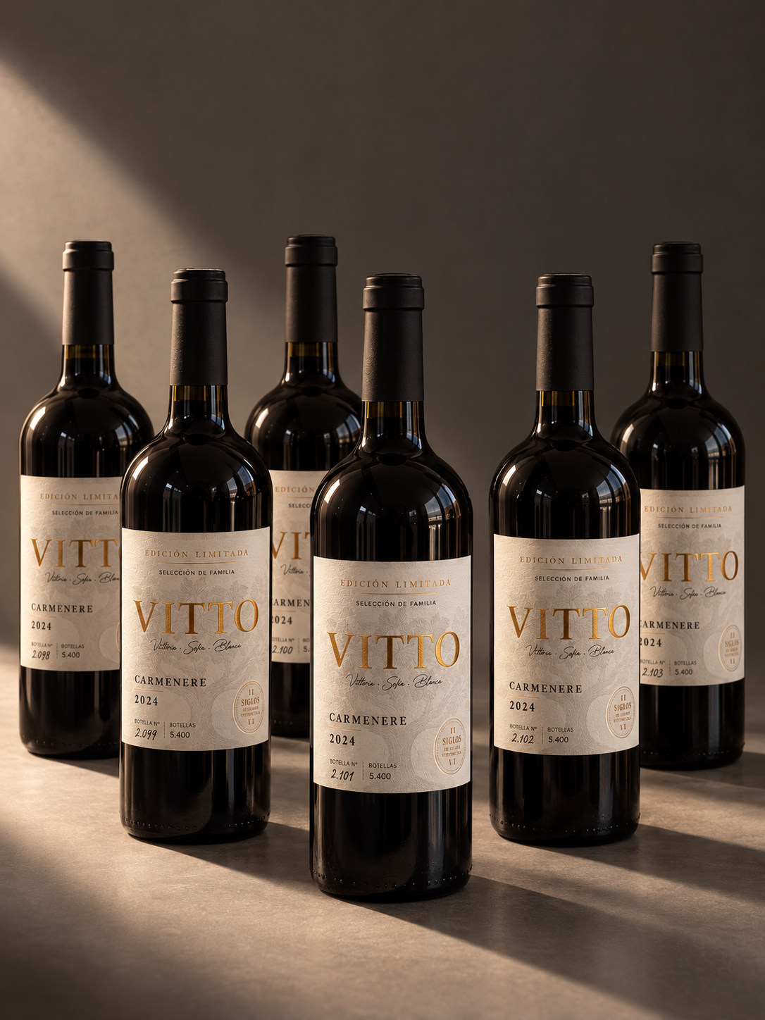 Caja de seis botellas de Vitto Carmenere 2024 lista para regalar