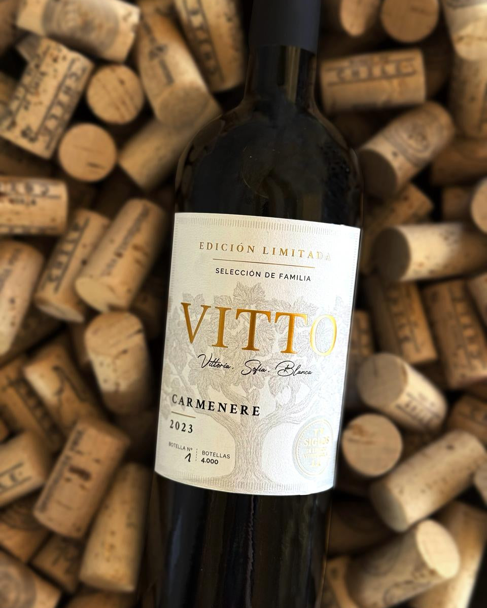 Caja de 1 botella Vitto · Carmenere 2023