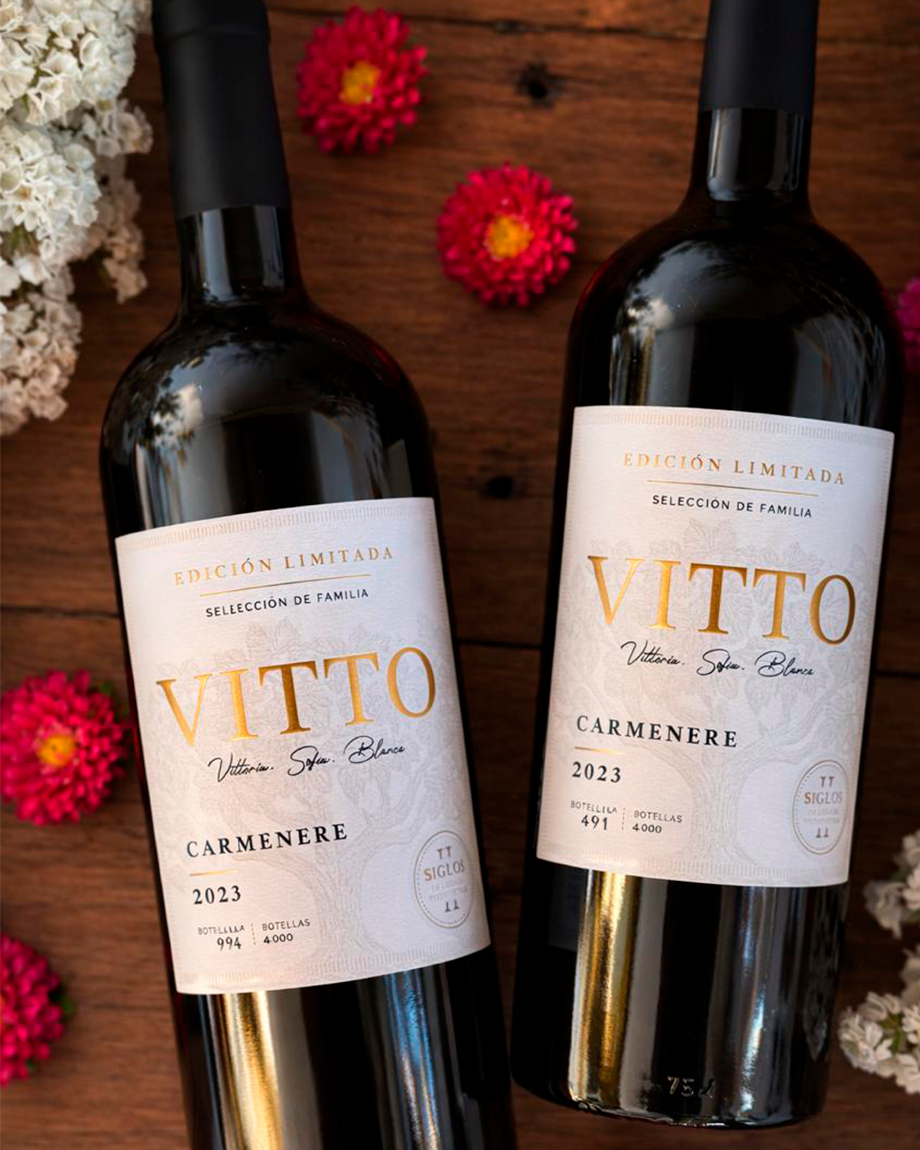 Caja de 2 botellas · Vitto Carmenere 2023
